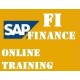 SAP FI-CO ONLINE TRAINING @ 750 With Certification documents